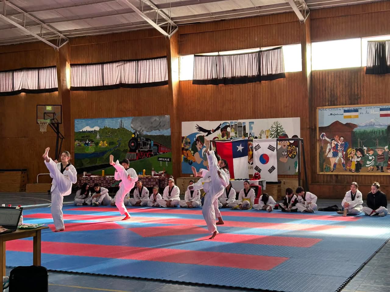¡Gran jornada de Taekwondo en la comuna de Los Lagos! 💪🏆